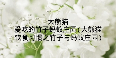 大熊猫爱吃的竹子蚂蚁庄园(大熊猫饮食习惯之竹子与蚂蚁庄园)