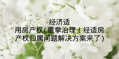 经济适用房产权(重拳治理！经适房产权归属问题解决方案来了)