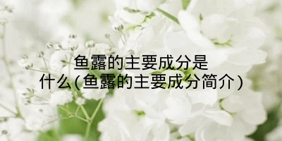 鱼露的主要成分是什么(鱼露的主要成分简介)