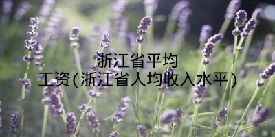 浙江省平均工资(浙江省人均收入水平)