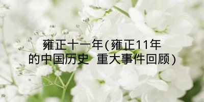 雍正十一年(雍正11年的中国历史 重大事件回顾)