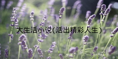 大生活小说(活出精彩人生)