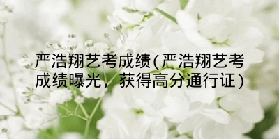 严浩翔艺考成绩(严浩翔艺考成绩曝光,获得高分通行证)