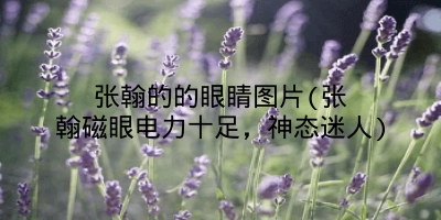 张翰的的眼睛图片(张翰磁眼电力十足,神态迷人)
