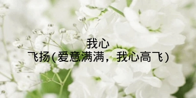我心飞扬(爱意满满,我心高飞)