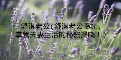 舒淇老公(舒淇老公曝光,掌管夫妻生活的秘密揭晓!)