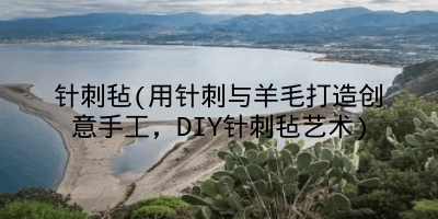 针刺毡(用针刺与羊毛打造创意手工,DIY针刺毡艺术)