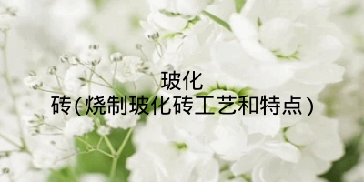 玻化砖(烧制玻化砖工艺和特点)
