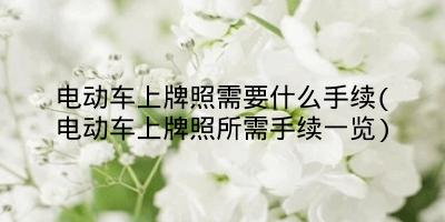 电动车上牌照需要什么手续(电动车上牌照所需手续一览)