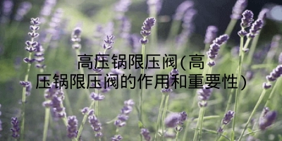 高压锅限压阀(高压锅限压阀的作用和重要性)