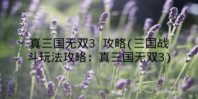 真三国无双3 攻略(三国战斗玩法攻略:真三国无双3)