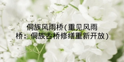 侗族风雨桥(重见风雨桥:侗族古桥修缮重新开放)