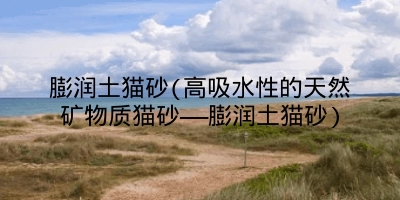 膨润土猫砂(高吸水性的天然矿物质猫砂——膨润土猫砂)