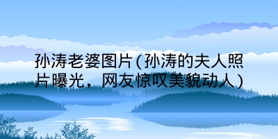 孙涛老婆图片(孙涛的夫人照片曝光,网友惊叹美貌动人)