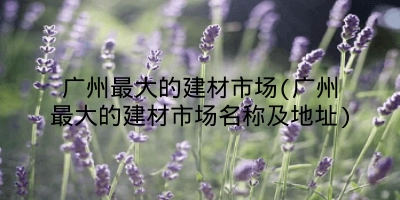 广州最大的建材市场(广州最大的建材市场名称及地址)