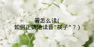 箸怎么读(如何正确地读音“筷子”?)