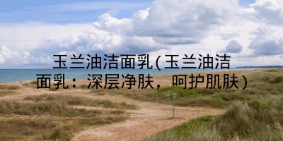 玉兰油洁面乳(玉兰油洁面乳:深层净肤,呵护肌肤)