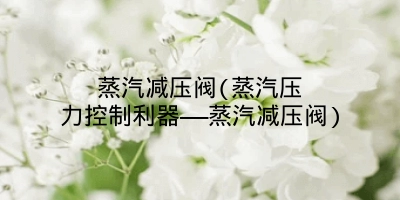 蒸汽减压阀(蒸汽压力控制利器——蒸汽减压阀)