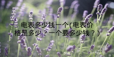 电表多少钱一个(电表价格是多少?一个要多少钱?)