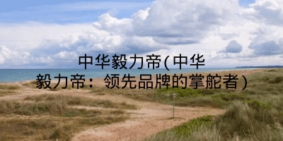 中华毅力帝(中华毅力帝：领先品牌的掌舵者)