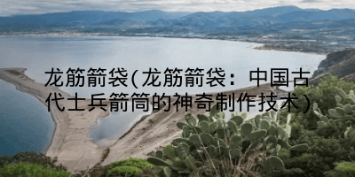 龙筋箭袋(龙筋箭袋:中国古代士兵箭筒的神奇制作技术)