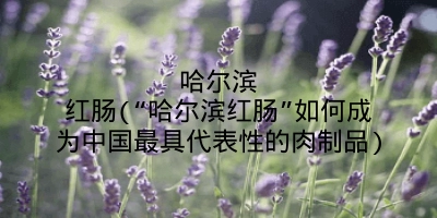 哈尔滨红肠(“哈尔滨红肠”如何成为中国最具代表性的肉制品)