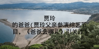 贾玲的爸爸(贾玲父亲参演综艺节目,《爸爸去哪儿》引关注)