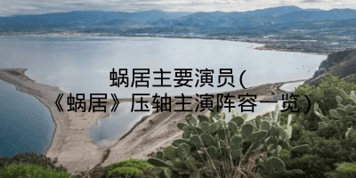蜗居主要演员(《蜗居》压轴主演阵容一览)