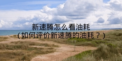 新速腾怎么看油耗(如何评价新速腾的油耗?)