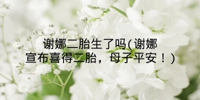 谢娜二胎生了吗(谢娜宣布喜得二胎,母子平安!)