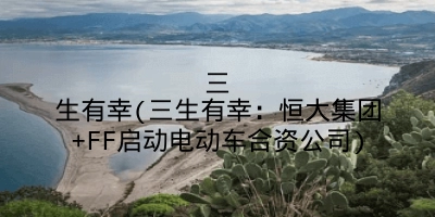 三生有幸(三生有幸:恒大集团+FF启动电动车合资公司)