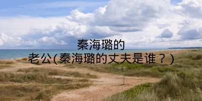 秦海璐的老公(秦海璐的丈夫是谁?)