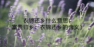 衣锦还乡什么意思(富贵归乡：衣锦还乡的含义)