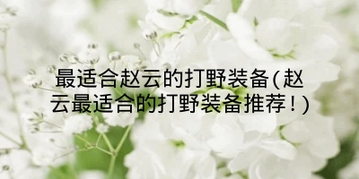 最适合赵云的打野装备(赵云最适合的打野装备推荐!)