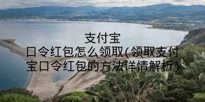 支付宝口令红包怎么领取(领取支付宝口令红包的方法详情解析)