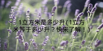 1立方米是多少升(1立方米等于多少升?快来了解!)
