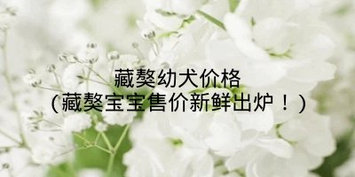 藏獒幼犬价格(藏獒宝宝售价新鲜出炉！)