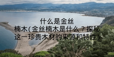 什么是金丝楠木(金丝楠木是什么？探秘这一珍贵木材的来源和特性)