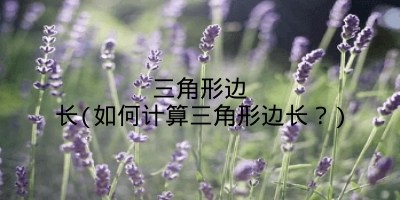 三角形边长(如何计算三角形边长?)