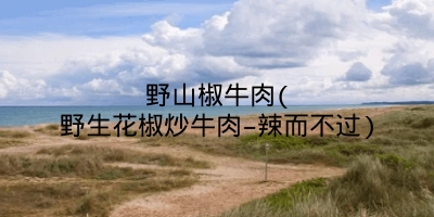 野山椒牛肉(野生花椒炒牛肉–辣而不过)