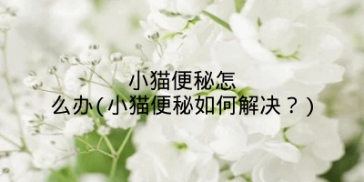 小猫便秘怎么办(小猫便秘如何解决?)