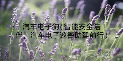 汽车电子狗(智能安全陪伴,汽车电子巡警助驾前行)