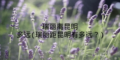 瑞丽离昆明多远(瑞丽距昆明有多远?)