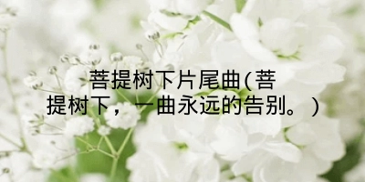 菩提树下片尾曲(菩提树下,一曲永远的告别。)