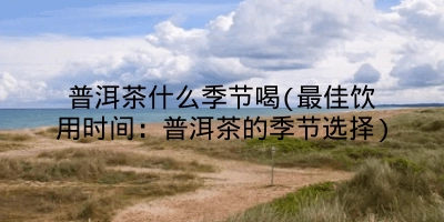普洱茶什么季节喝(最佳饮用时间:普洱茶的季节选择)