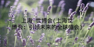 上海 世博会(上海世博会：引领未来的全球盛会)