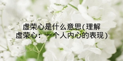 虚荣心是什么意思(理解虚荣心:一个人内心的表现)