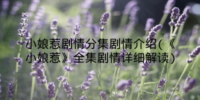 小娘惹剧情分集剧情介绍(《小娘惹》全集剧情详细解读)