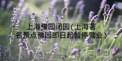 上海豫园闭园(上海著名景点豫园即日起暂停营业)