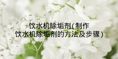 饮水机除垢剂(制作饮水机除垢剂的方法及步骤)